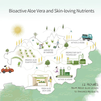 Fresh Juice Aloe Body Care Creams